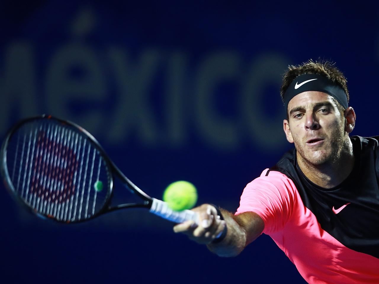 デル ポトロがティームを破り ズベレフとの準決勝へ アビエルト メキシカーノ テルセル テニスマガジンonline Tennismagazine Jp