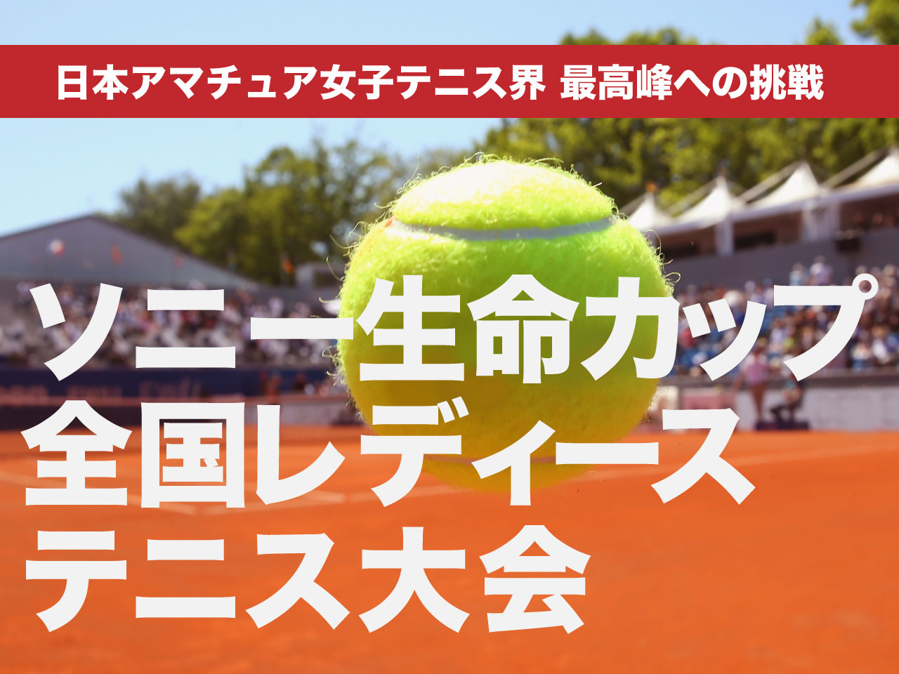全国レディース（Live配信情報、トーナメント表、記録など）大会まとめ