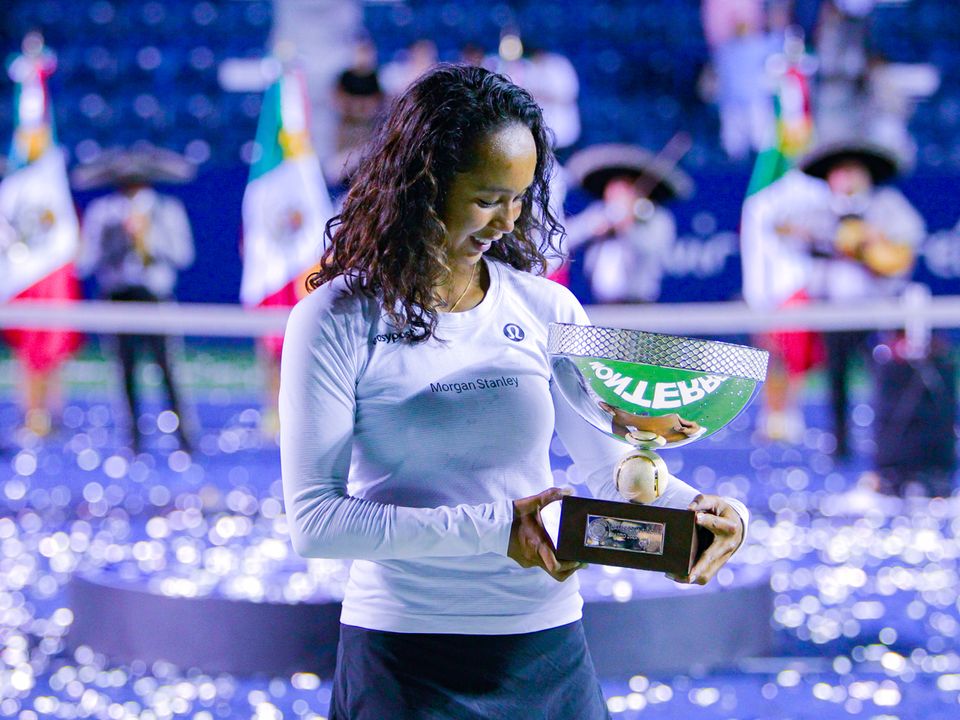 パラセタモール オソリオ デ モラエスのリーフレット