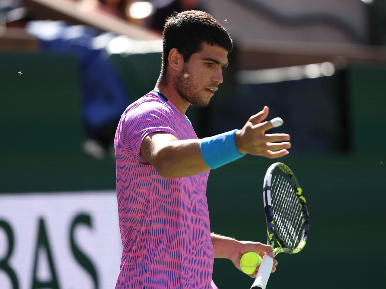 蜂の大群発生による中断を乗り越えたアルカラスがズベレフを退けシナー