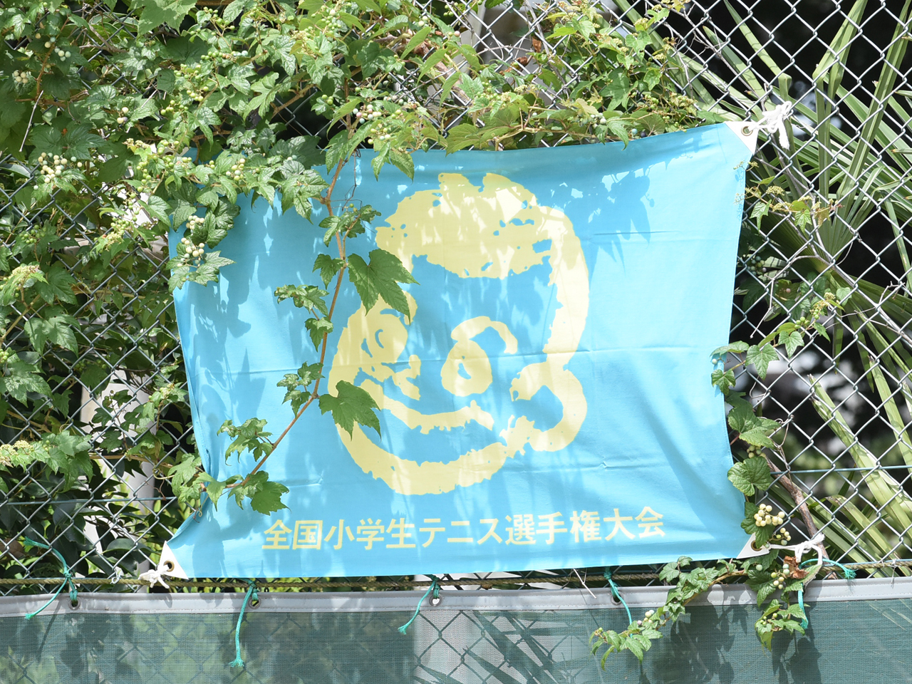 main_a30a2d7889d3697d006051979