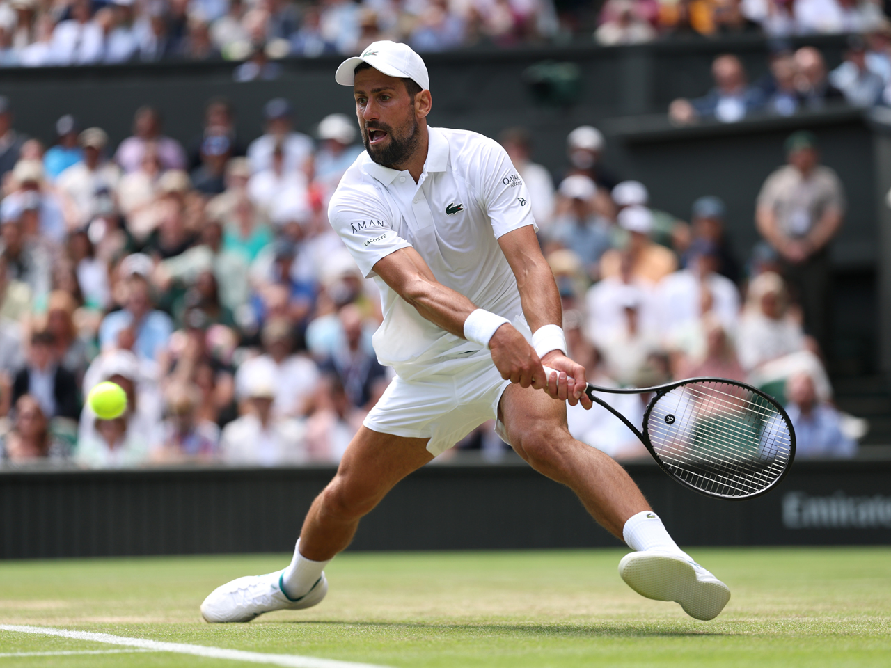 ジョコ　テニス　ラコステ　4 新品　タグ付き　ジョコビッチ ジョコ テニス ラコステ 4 新品 タグ付き ジョコビッチ ノバク