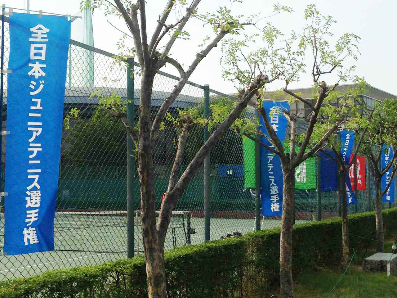 大会7日目が終了 12歳以下男女単複のベスト4が出揃う 19全日本ジュニア テニスマガジンonline Tennismagazine Jp