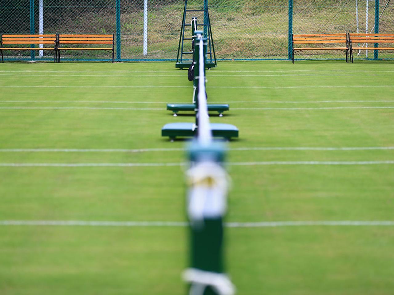 兵庫 アオノテニスクラブに天然芝コート2面がオープン 一般貸出開始 テニスマガジンonline Tennismagazine Jp