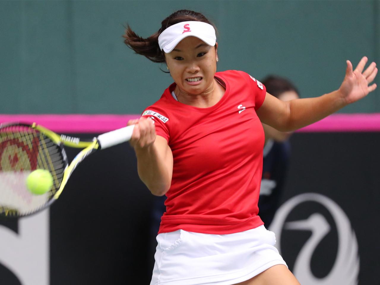 テニス フェドカップ 女子日本代表 選手支給品 テニスウェア テニス フェドカップ 女子日本代表 選手支給品 テニスウェア テニス